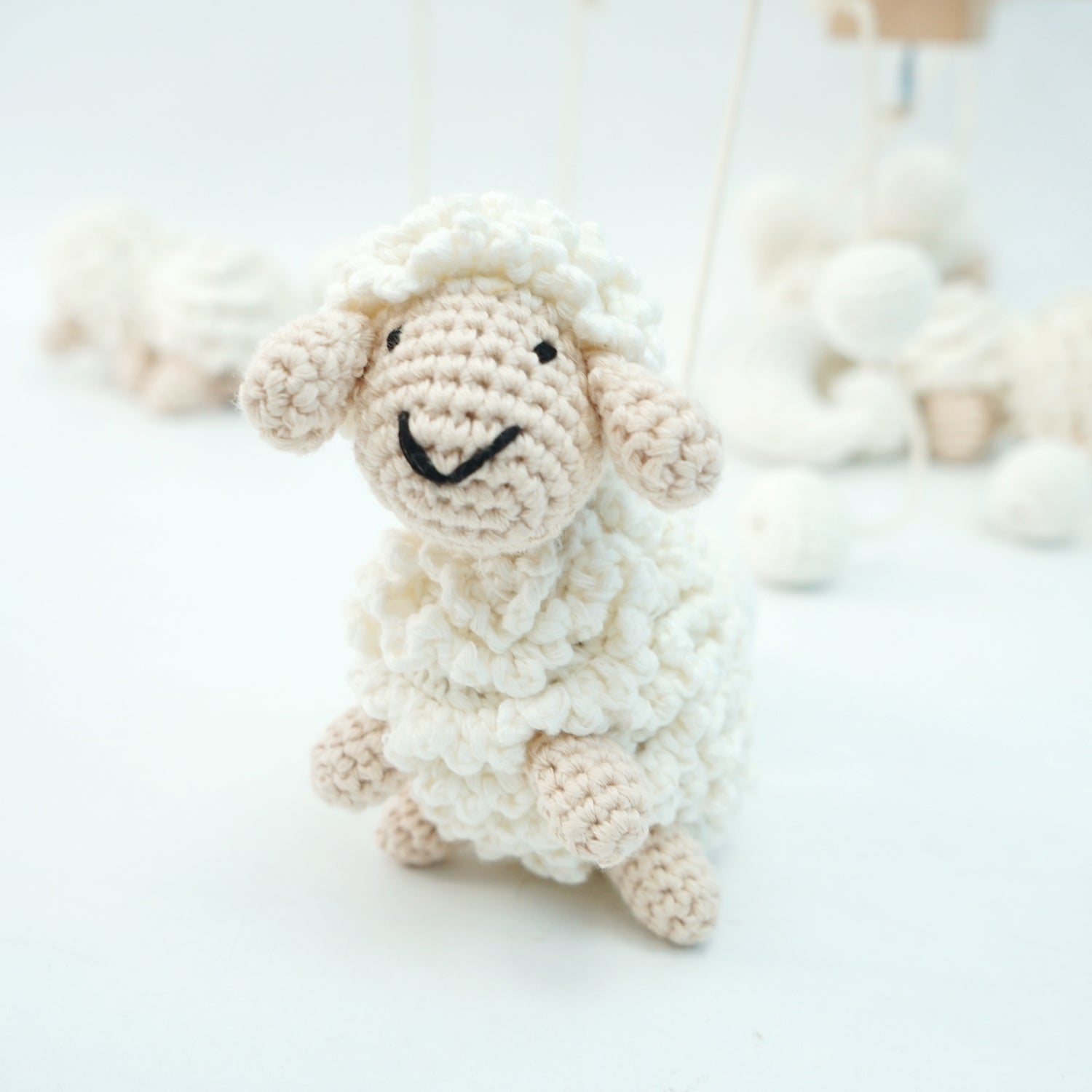 Curly cream coloured sheep with beige face and legs